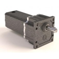 GROSCHOPP 無刷直流齒輪電機(jī)57540系列