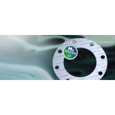 James Walker 墊片F(xiàn)luolion 700系列