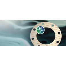 James Walker 墊片F(xiàn)luolion 800系列