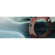 James Walker 石墨墊片N7系列