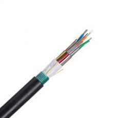 PANDUIT 48 芯光纖電纜FLWN948系列