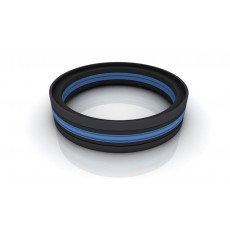 TRELLEBORG 緊湊型密封件POLYPAC DBM系列