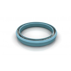 TRELLEBORG 單作用密封件Variseal M2系列