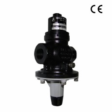 GASCAT 自動(dòng)截止閥G10F系列