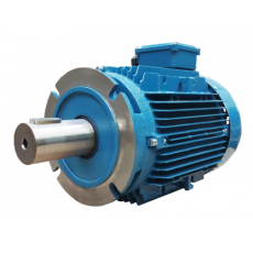 UNIVERSAL MOTORS 電動機自定義執(zhí)行系列