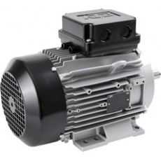 ATB MOTORS 低壓電機(jī)NEMA電機(jī)系列