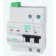 vigivolt 過壓和欠壓保護(hù)器COMBI-PRO-2P