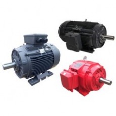 TECHTOP 消防泵電機(jī)UL1004-5系列